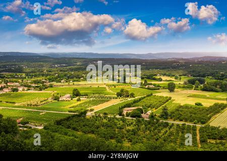 Vista mozzafiato dei lussureggianti vigneti annidati nelle colline ondulate in una giornata nuvolosa nella campagna francese, sulle montagne del Luberon, sulla Francia e su Vaucluse. Serena la Foto Stock