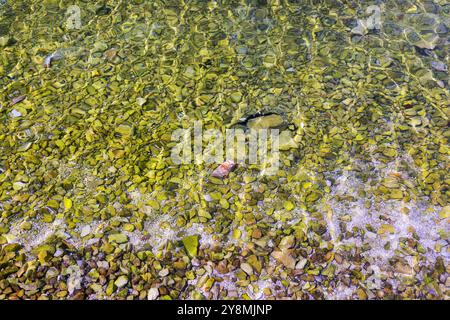 Le pietre sotto l'acqua. Ciottoli di mare sulla spiaggia. Ciottoli di mare sulla spiaggia di sabbia con acqua trasparente. Naturale di mare pietre closeup. Spiaggia di ciottoli lisci. Foto Stock