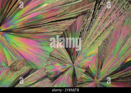 Il gadolinio è un elemento terrestre raro. I cristalli vengono precipitati da una soluzione su un vetrino per microscopio e fotografati con luce polarizzata Foto Stock