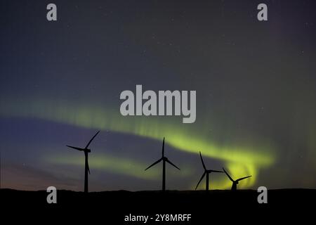 Wind Farm e Northern Lights Aurora Boreale in Canada Foto Stock