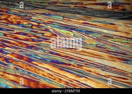 Cristalli di solfato di magnesio o sale di Epsom al microscopio. I cristalli vengono precipitati da una soluzione su un vetrino per microscopio e fotografati i Foto Stock