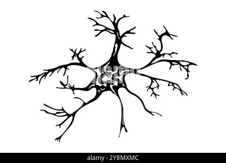 Illustrazione vettoriale acquerello colorato neurone Illustrazione Vettoriale