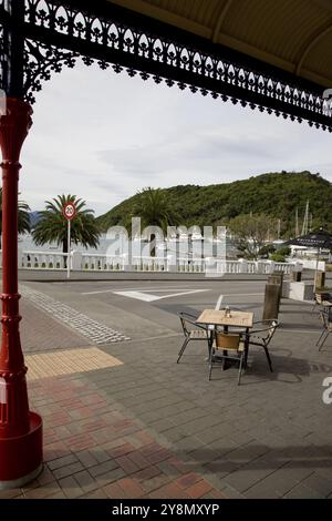 Picton Nuova Zelanda downtown turismo destinazione traghetto Foto Stock