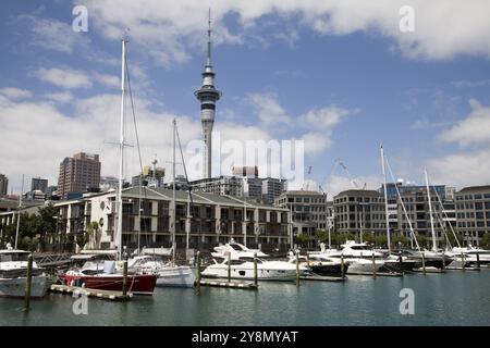 Auckland Nuova Zelanda fronte porto centro città Foto Stock