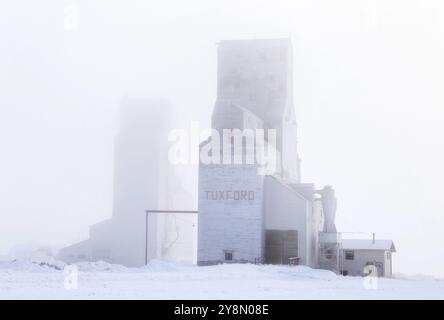 Prairie Inverno scene rurali Saskatchewan Canada Frost Foto Stock