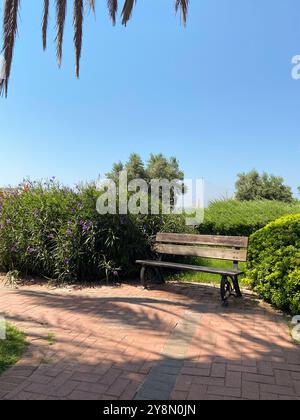 Parco verde caratterizzato da una panchina di legno circondata da una vegetazione vibrante e fiori sotto un cielo blu cristallino. L'ambiente invita al relax e alla riflessione Foto Stock