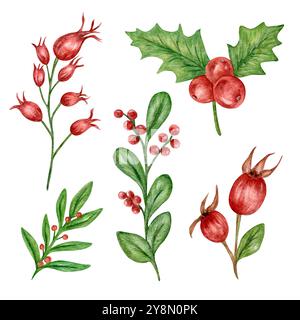 Set natalizio di composizioni di acquerelli di ramoscelli, bacche, agrifoglio, rosehip per bouquet. Bacche rosse, un set di elementi per biglietti e stampe natalizie Foto Stock
