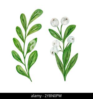 Un set di ramoscelli acquerelli e bacche bianche per bouquet, cartoline e decorazioni. Decorazione di Natale, biglietti per le vacanze, compleanno. Foto Stock