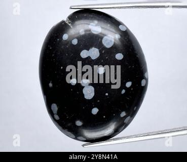 Splendida pietra preziosa ossidiana Black Snowflake che mostra motivi naturali unici. Foto Stock