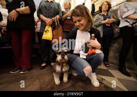 I devoti allevano i loro animali domestici per ricevere benedizioni sull'acqua Santa durante una messa per benedire animali e animali come parte della "giornata mondiale degli animali" presso Iglesia de San Francisco il 4 ottobre 2024 a São Paolo, Brasile (Photo Faga/Sipa USA) Foto Stock