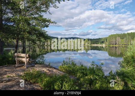 Una panchina di tronchi sotto un albero si trova su una roccia di granito che si affaccia sul Lac Raynaud vicino al Monte Tremblante Foto Stock