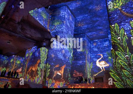 Carrières de Lumiéres, Centre d'art numérique projetant des Expositions immersives, Les Baux-de-Provence, Bouches-du-Rhône, Provence-Alpes-Côte d'Azur, Francia, Europa. Foto Stock