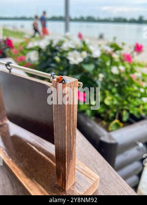 Graziosa coccinella su una recinzione di legno, macrofotografia Foto Stock