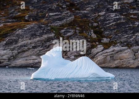 Piccolo iceberg dalla forma unica galleggia vicino alla costa rocciosa artica Foto Stock