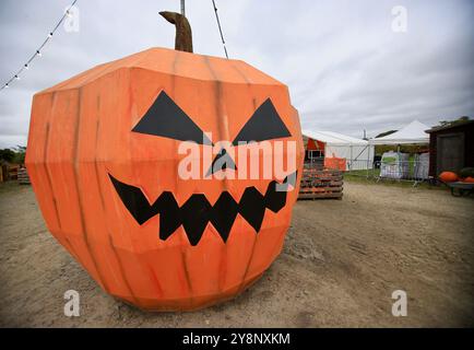 Le famiglie visitano il mondo delle zucche per Halloween, spettacoli spaventosi, risate e divertimento stagionale. Ottobre 2024. Foto Stock