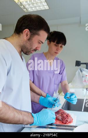 Area macro, intaglio, selezione campione di tessuto tiroideo, patologia anatomica, ospedale Donostia, San Sebastian, Gipuzkoa, paesi Baschi, Spagna. Foto Stock