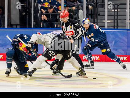 Linesperson David Tschirner fuehrt ein bully aus zwischen Maximilian Kastner (EHC Red Bull Muenchen, #93) e Alexandre Grenier (Koelner Haie, #82). GER, EHC Red Bull Muenchen gegen Koelner Haie, Eishockey, DEL, 7. Spieltag, Saison 2024/2025, 06.10.2024. Foto: Eibner-Pressefoto/Franz Feiner Foto Stock