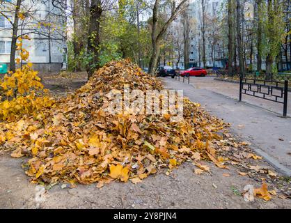 Voronezh, Russia - 01 novembre 2023: Foglie cadute raccolte in un mucchio Foto Stock