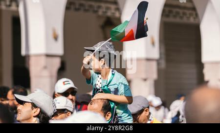 dimostrazioni con la bestiaine Foto Stock