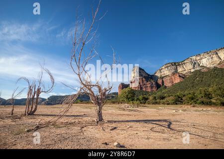 Bacino idrico di Sau, Vilanova de Sau, Barcellona, Spagna Foto Stock