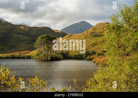 Eilean Na Moine, sul Loch Eilt, il presunto sito della tomba di Albus Silente, Lochaber, Scozia, Regno Unito Foto Stock