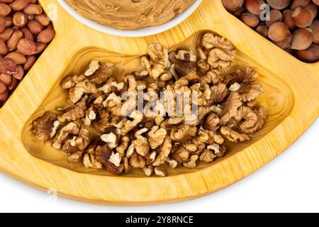 Arachidi, noci e nocciole in una scatola di legno con scomparti. Tre diversi tipi di dadi, con guscio e guscio, assortimento decorativo e pronti all'uso Foto Stock