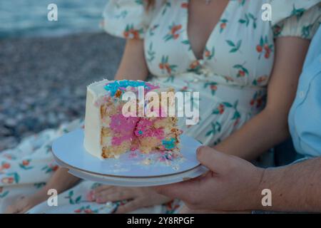 Festeggiamo il compleanno dei bambini con una torta e la famiglia a un picnic sul fiume al sole del pomeriggio Foto Stock