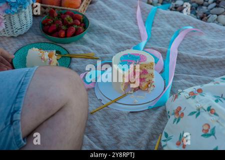 Festeggiamo il compleanno dei bambini con una torta e la famiglia a un picnic sul fiume al sole del pomeriggio Foto Stock
