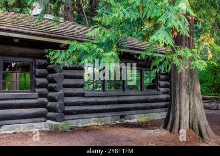 Padiglione per picnic in legno in stile rustico costruito dal Civilian Conservation Corps con Western Red Cedar, nel Millersylvania State Park, Washington State, USA Foto Stock