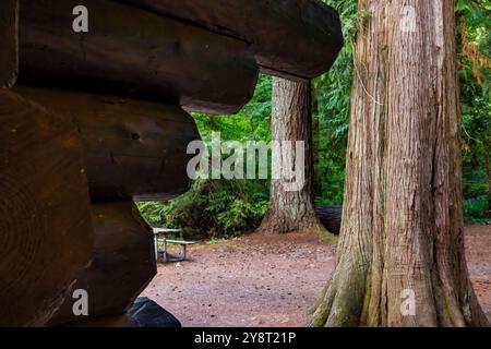 Padiglione per picnic in legno in stile rustico costruito dal Civilian Conservation Corps, con i Western Red Cedars, nel Millersylvania State Park, nello stato di Washington, Stati Uniti Foto Stock