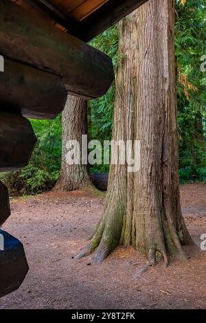 Padiglione per picnic in legno in stile rustico costruito dal Civilian Conservation Corps, con i Western Red Cedars, nel Millersylvania State Park, nello stato di Washington, Stati Uniti Foto Stock