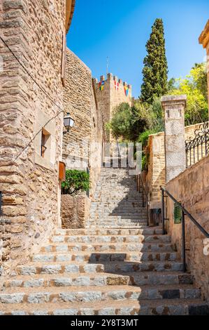 Castell de Capdepera, vista di Maiorca da lontano con le scale davanti durante il cielo limpido, scatto verticale, maiorca Foto Stock