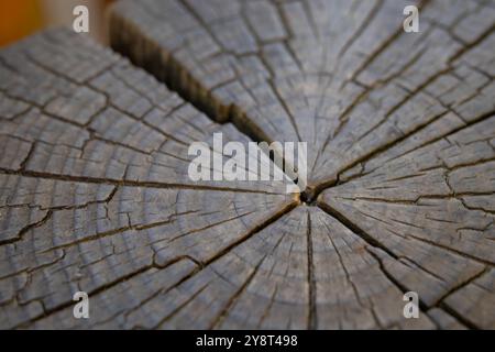 Una sezione di un tronco di legno, con un modello di anelli concentrici di crescita e cicatrici radiali di invecchiamento. Superficie liscia per sfondi naturali. Foto Stock