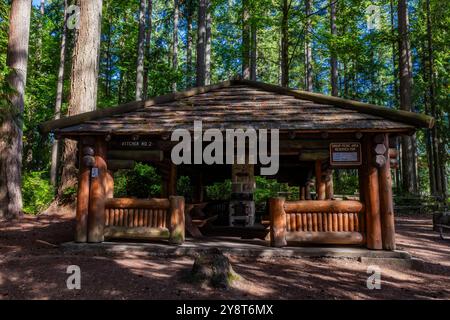 Padiglione per picnic in legno in stile rustico costruito dal Civilian Conservation Corps nel 1935 nel Millersylvania State Park, nello stato di Washington, Stati Uniti Foto Stock