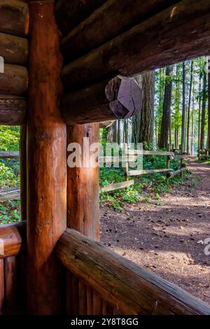 Padiglione per picnic in legno in stile rustico costruito dal Civilian Conservation Corps nel 1935 nel Millersylvania State Park, nello stato di Washington, Stati Uniti Foto Stock