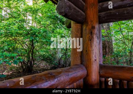 Padiglione per picnic in legno in stile rustico costruito dal Civilian Conservation Corps nel 1935 nel Millersylvania State Park, nello stato di Washington, Stati Uniti Foto Stock