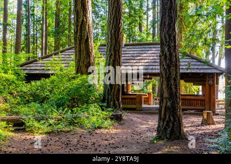 Padiglione per picnic in legno in stile rustico costruito dal Civilian Conservation Corps nel 1935 nel Millersylvania State Park, nello stato di Washington, Stati Uniti Foto Stock