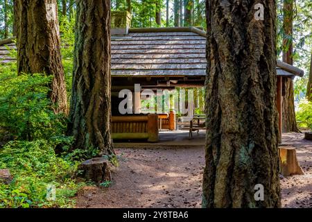 Padiglione per picnic in legno in stile rustico costruito dal Civilian Conservation Corps nel 1935 nel Millersylvania State Park, nello stato di Washington, Stati Uniti Foto Stock