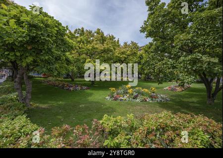 Kaisergaertchen un parco con alberi di magnolia e aiuole di fiori di fronte alla piazza della stazione ferroviaria di Wuerzburg, Wuerzburg, bassa Franconia, Baviera, germi Foto Stock