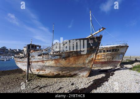 Porto di Camaret-sur-Mer, Bretagna, Francia, Europa Foto Stock