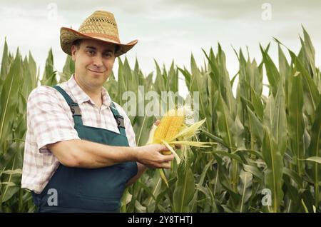 Agricoltore in cappello ispezione pannocchie di mais con campo sullo sfondo Foto Stock