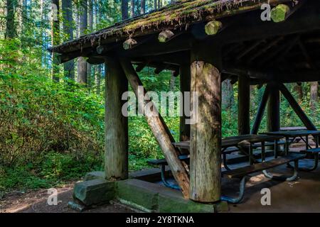 Padiglione per picnic in legno in stile rustico costruito dal Civilian Conservation Corps nel 1935 nel Millersylvania State Park, nello stato di Washington, Stati Uniti Foto Stock