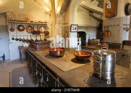 Cucina nel castello di le Lude, Sarthe, Pays de la Loire, Francia, Europa Foto Stock