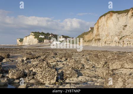 Scogliere a Dieppe, Cote d'Albatre, alta Normandia, Francia, Europa Foto Stock