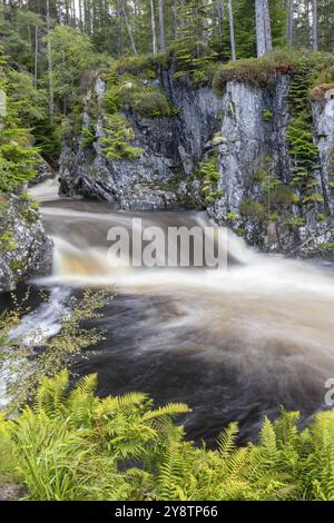 Cascate e rapide di Pattack, cascate sul fiume Pattack, Laggan, Highlands, Scozia, Gran Bretagna Foto Stock