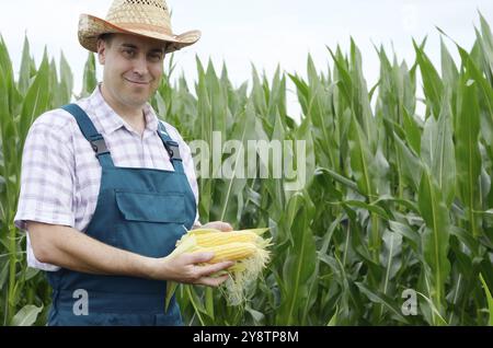 Agricoltore in cappello ispezione pannocchie di mais con campo sullo sfondo Foto Stock