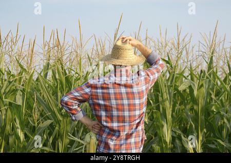 Di mezza età farm caucasica lavoratore nel cappello di paglia sorge vicino al campo di mais sera tramonto da qualche parte in Ucraina Foto Stock