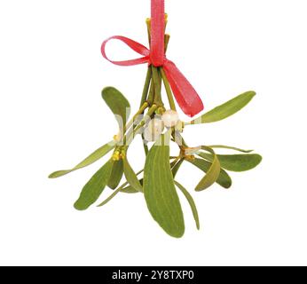 Mazzo di Mistletoe appeso al nastro rosso su sfondo bianco Foto Stock