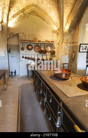 Cucina nel castello di le Lude, Sarthe, Pays de la Loire, Francia, Europa Foto Stock