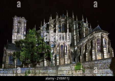 "Notte dei Chimeras", le Mans, Sarthe, Pays de la Loire, Francia, Europa Foto Stock